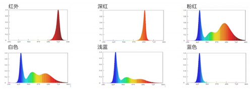 尊龙(Z6)官网-人生就是赢