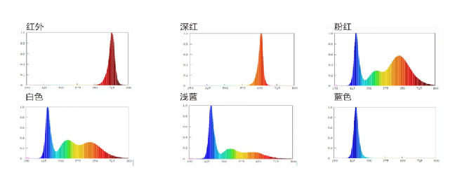 尊龙(Z6)官网-人生就是赢