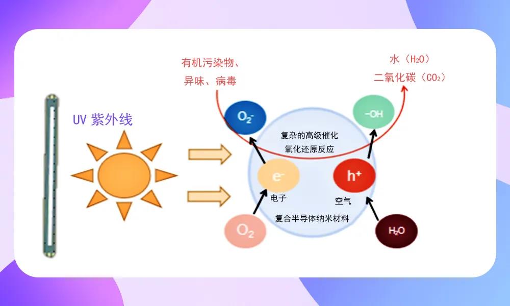 尊龙(Z6)官网-人生就是赢