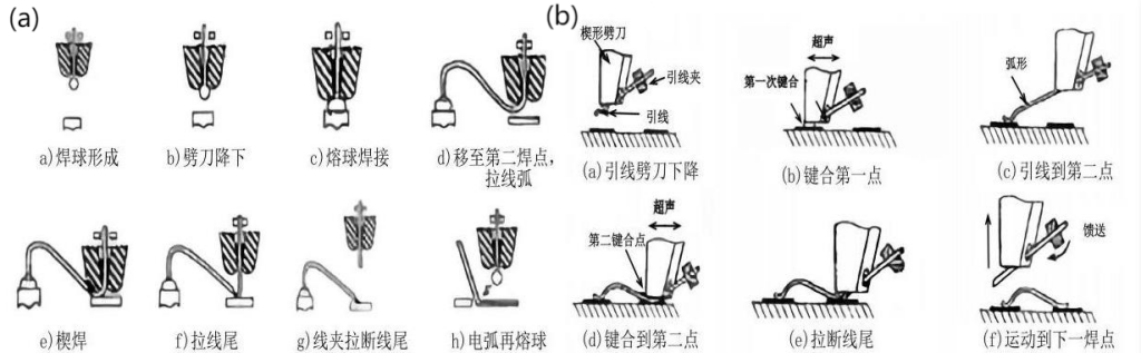 尊龙(Z6)官网-人生就是赢