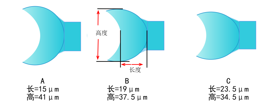 尊龙(Z6)官网-人生就是赢